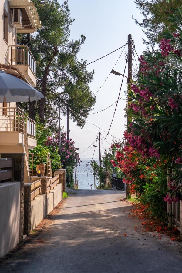 νεφέλη: ολόκληρο σπίτι για αξέχαστες διακοπές στη σιβηρή Apartment *